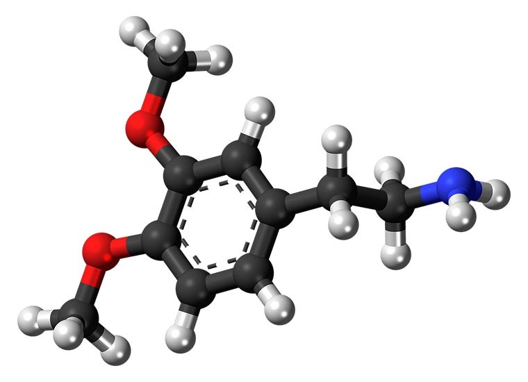 Dopamina, cos’è e qual è la sua funzione