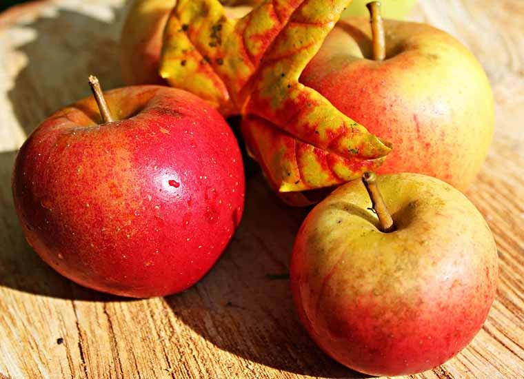 Frutti autunnali di stagione: quali preferire e perché