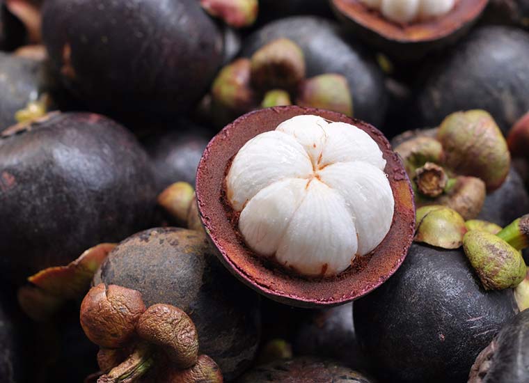 Garcinia mangostana proprietà e controindicazioni