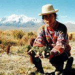 La Maca peruviana, proprietà e controindicazioni