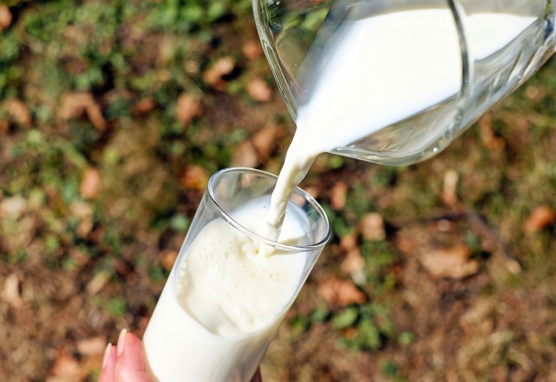 Latte senza lattosio, fa bene o fa male?