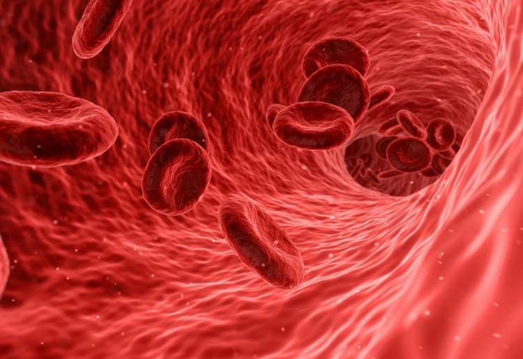 Emoglobina glicosilata: cos’è, come funziona, il test e il diabete